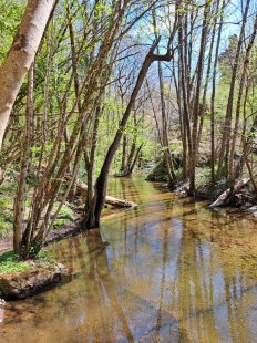 Lire la suite à propos de l’article Faune Ouche 2025